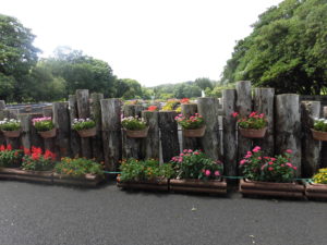 那珂市の茨城県植物園へ 周りの施設も充実している